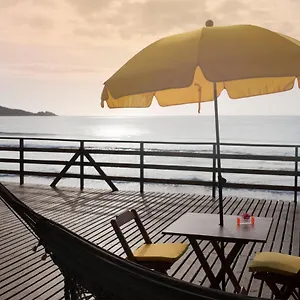 Hibisco Florianópolis
